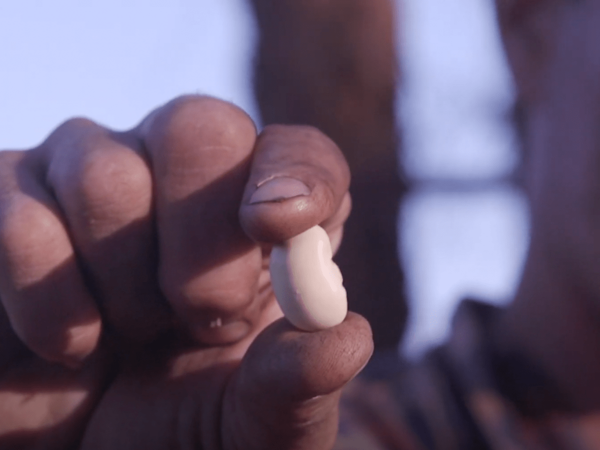 Cultivating Futures (Video)